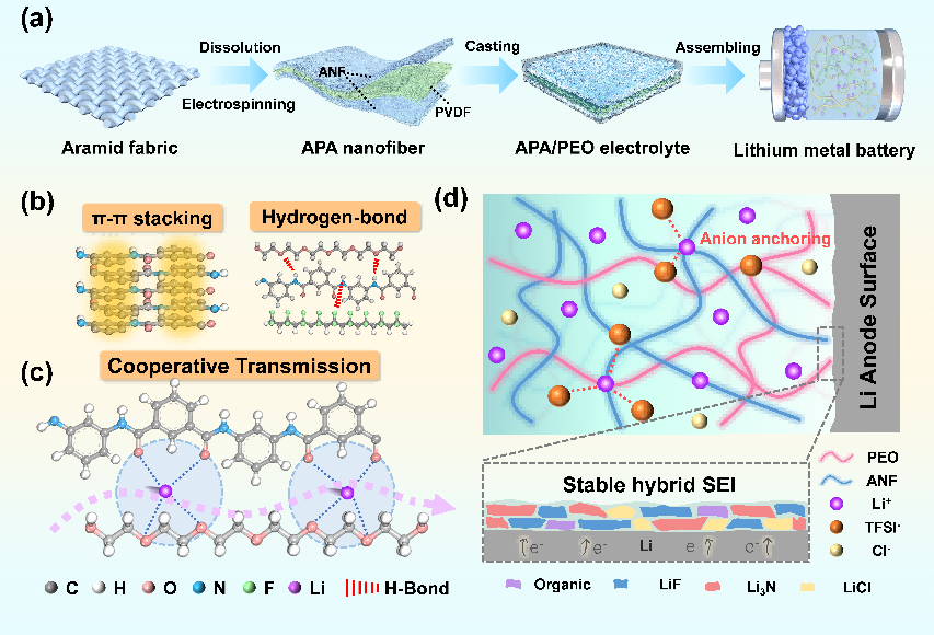 浙江理工大学胡毅教授：静电纺丝构建连续锂离子传输通道，实现固态锂金属电池超长循环寿命